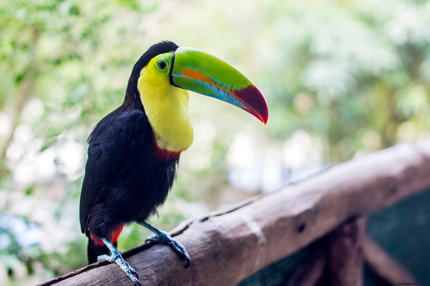 10 maneiras de redescobrir o que é essencial na Costa Rica 